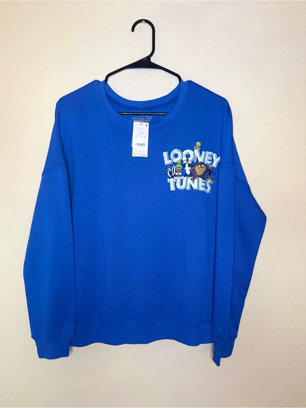 Warner Bros. Women’s Crewneck Sweatshirt - Blue